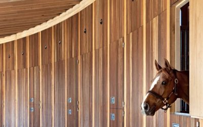 Essentials for the Modern Equestrian Center