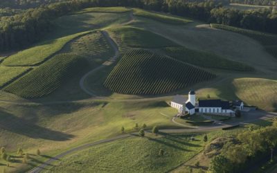 A Taste of the States: Discover the Top Vineyards in the U.S.A.